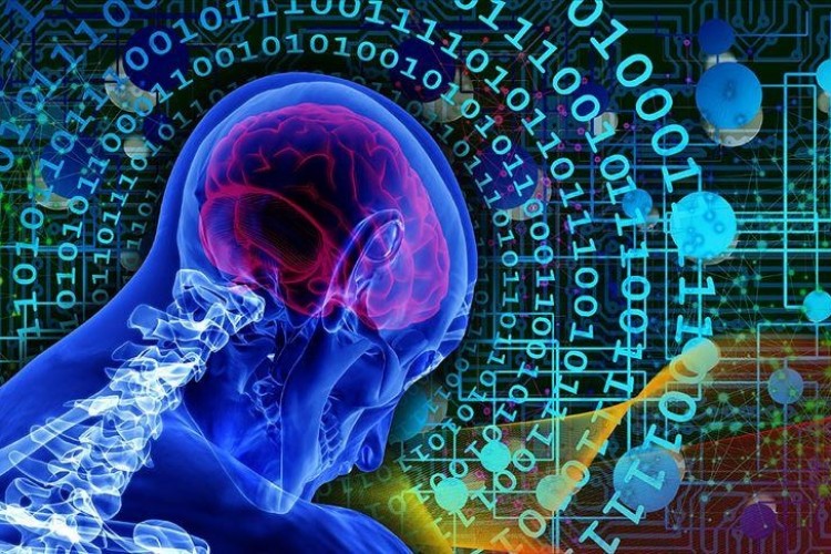 DSÖ, kılavuz yayımladı