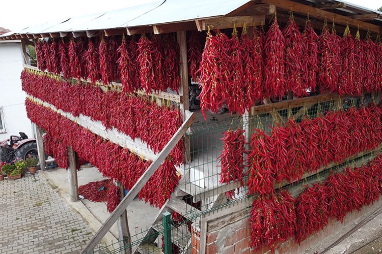 "Çukurören biberi"nde kurutma mesaisi köyü adeta kırmızıya boyuyor