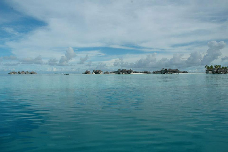 maldiv-1