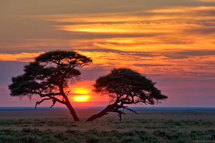 namibia-4