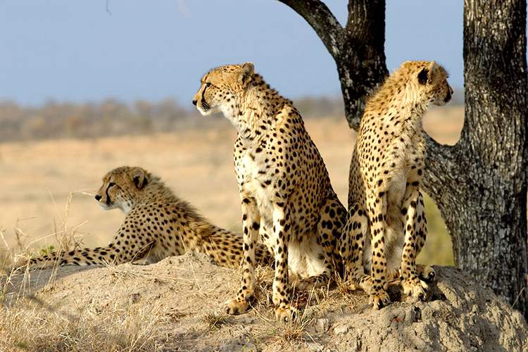 namibia-5